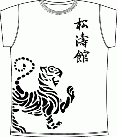 Shotokan Karate, Martial Arts, Japan, Карате, Боевые Искусства, Япония